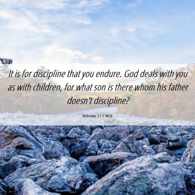 Picture 06 - Hebrews 12:7 WEB - It is for discipline that you endure. God deals - Bible Verse Picture