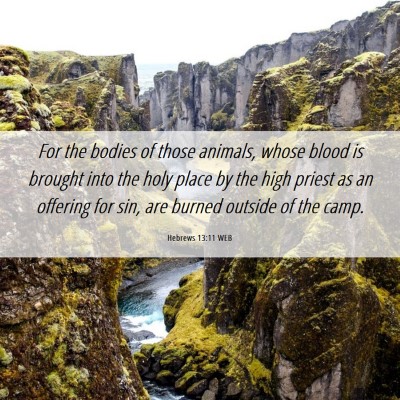 Picture 06 - Hebrews 13:11 WEB - For the bodies of those animals, whose blood is - Bible Verse Picture