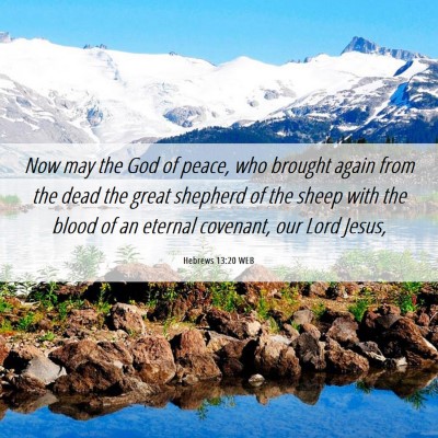 Picture 06 - Hebrews 13:20 WEB - Now may the God of peace, who brought again from - Bible Verse Picture