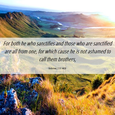 Picture 06 - Hebrews 2:11 WEB - For both he who sanctifies and those who are - Bible Verse Picture