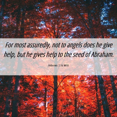 Picture 06 - Hebrews 2:16 WEB - For most assuredly, not to angels does he give - Bible Verse Picture
