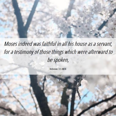 Picture 06 - Hebrews 3:5 WEB - Moses indeed was faithful in all his house as a - Bible Verse Picture