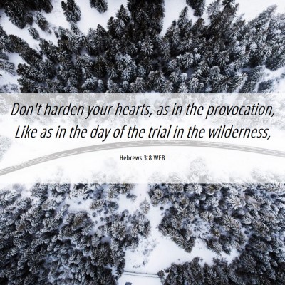 Picture 06 - Hebrews 3:8 WEB - Don't harden your hearts, as in the provocation, - Bible Verse Picture