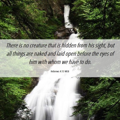 Picture 06 - Hebrews 4:13 WEB - There is no creature that is hidden from his - Bible Verse Picture