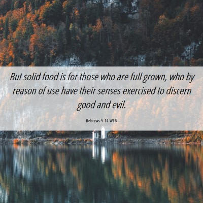 Picture 06 - Hebrews 5:14 WEB - But solid food is for those who are full grown, - Bible Verse Picture