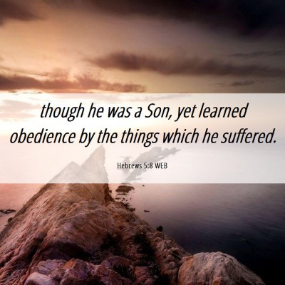 Picture 06 - Hebrews 5:8 WEB - though he was a Son, yet learned obedience by the - Bible Verse Picture