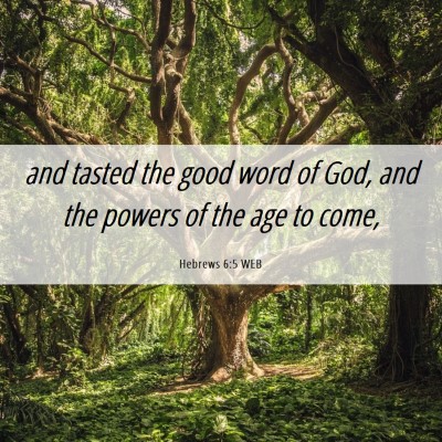 Picture 06 - Hebrews 6:5 WEB - and tasted the good word of God, and the powers - Bible Verse Picture