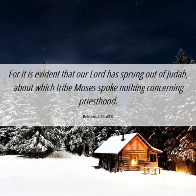Picture 06 - Hebrews 7:14 WEB - For it is evident that our Lord has sprung out of - Bible Verse Picture