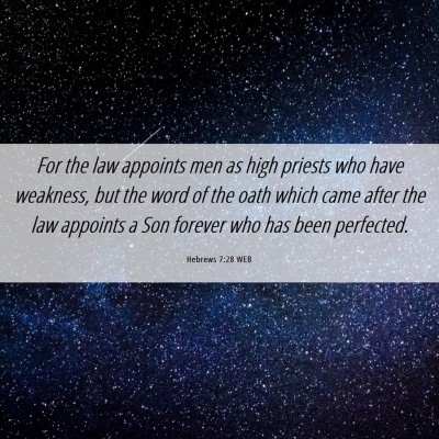 Picture 06 - Hebrews 7:28 WEB - For the law appoints men as high priests who have - Bible Verse Picture
