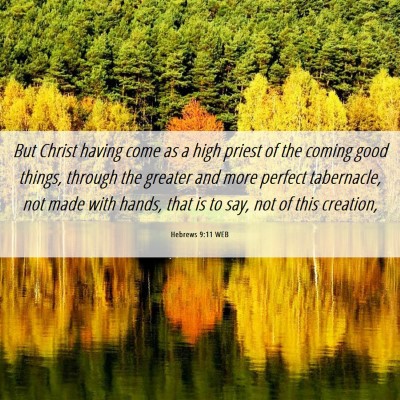 Picture 06 - Hebrews 9:11 WEB - But Christ having come as a high priest of the - Bible Verse Picture