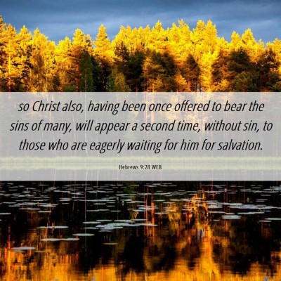 Picture 06 - Hebrews 9:28 WEB - so Christ also, having been once offered to bear - Bible Verse Picture