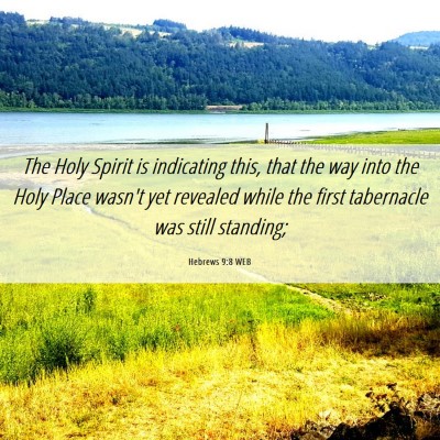 Picture 06 - Hebrews 9:8 WEB - The Holy Spirit is indicating this, that the way - Bible Verse Picture