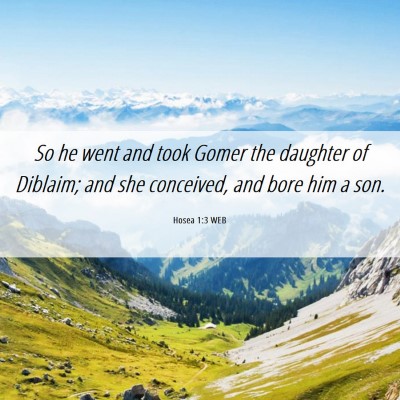 Picture 06 - Hosea 1:3 WEB - So he went and took Gomer the daughter of - Bible Verse Picture