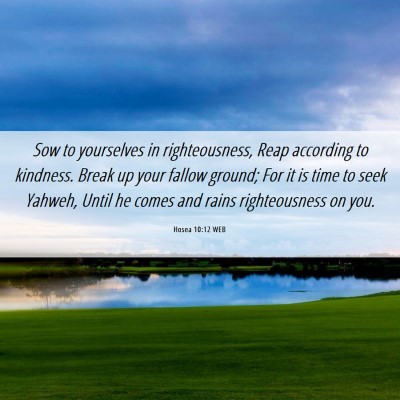 Picture 06 - Hosea 10:12 WEB - Sow to yourselves in righteousness, Reap - Bible Verse Picture