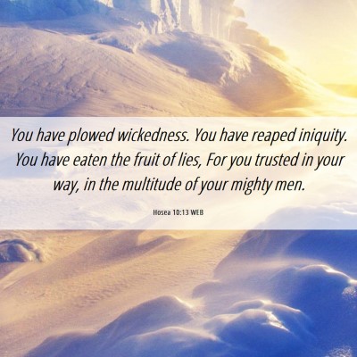 Picture 06 - Hosea 10:13 WEB - You have plowed wickedness. You have reaped - Bible Verse Picture