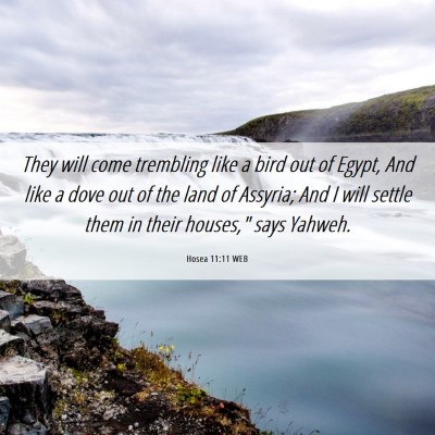 Picture 06 - Hosea 11:11 WEB - They will come trembling like a bird out of - Bible Verse Picture