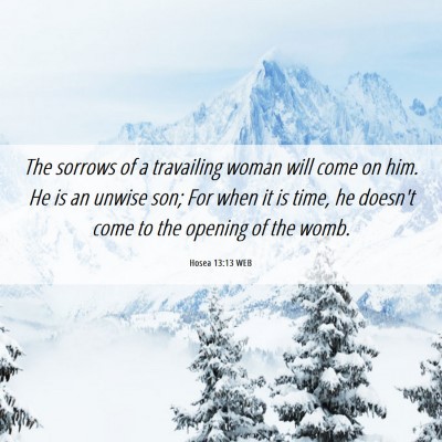 Picture 06 - Hosea 13:13 WEB - The sorrows of a travailing woman will come on - Bible Verse Picture