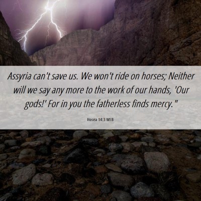 Picture 06 - Hosea 14:3 WEB - Assyria can't save us. We won't ride on horses; - Bible Verse Picture