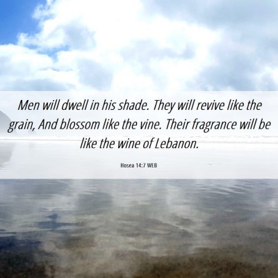 Picture 06 - Hosea 14:7 WEB - Men will dwell in his shade. They will revive - Bible Verse Picture
