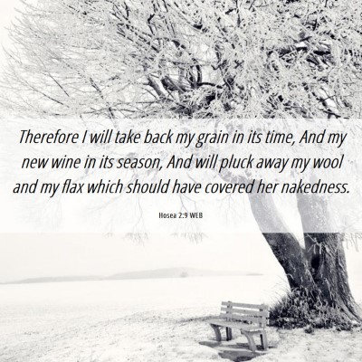 Picture 06 - Hosea 2:9 WEB - Therefore I will take back my grain in its time, - Bible Verse Picture