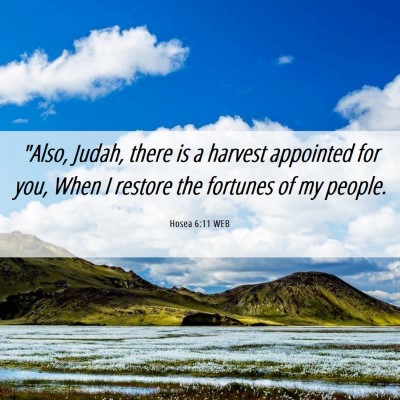 Picture 06 - Hosea 6:11 WEB - 