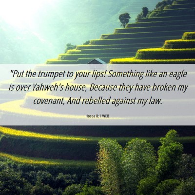 Picture 06 - Hosea 8:1 WEB - 