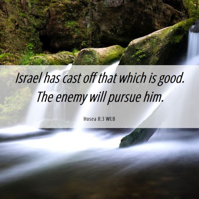Picture 06 - Hosea 8:3 WEB - Israel has cast off that which is good. The enemy - Bible Verse Picture