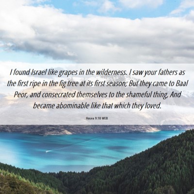 Picture 06 - Hosea 9:10 WEB - I found Israel like grapes in the wilderness. I - Bible Verse Picture