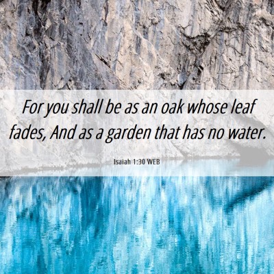 Picture 06 - Isaiah 1:30 WEB - For you shall be as an oak whose leaf fades, And - Bible Verse Picture