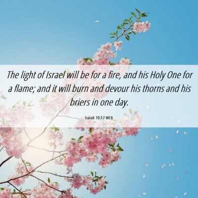 Picture 06 - Isaiah 10:17 WEB - The light of Israel will be for a fire, and his - Bible Verse Picture