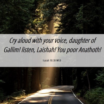Picture 06 - Isaiah 10:30 WEB - Cry aloud with your voice, daughter of Gallim! - Bible Verse Picture