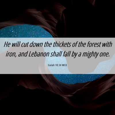 Picture 06 - Isaiah 10:34 WEB - He will cut down the thickets of the forest with - Bible Verse Picture