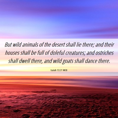 Picture 06 - Isaiah 13:21 WEB - But wild animals of the desert shall lie there; - Bible Verse Picture