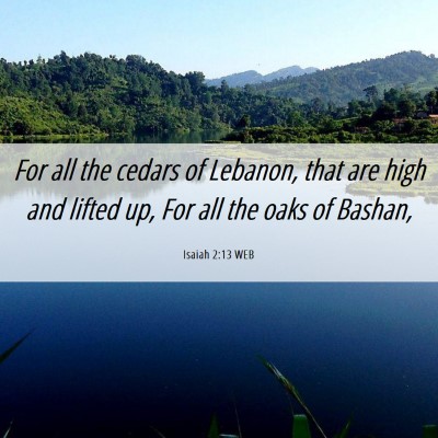 Picture 06 - Isaiah 2:13 WEB - For all the cedars of Lebanon, that are high and - Bible Verse Picture