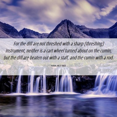 Picture 06 - Isaiah 28:27 WEB - For the dill are not threshed with a sharp - Bible Verse Picture