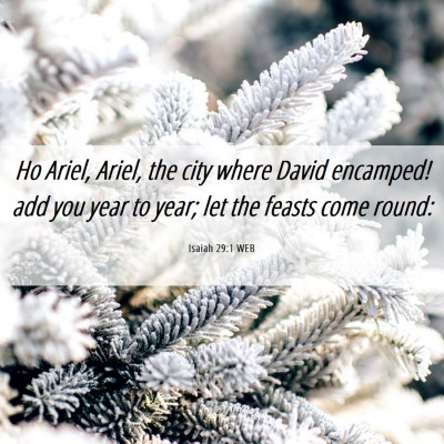 Picture 06 - Isaiah 29:1 WEB - Ho Ariel, Ariel, the city where David encamped! - Bible Verse Picture