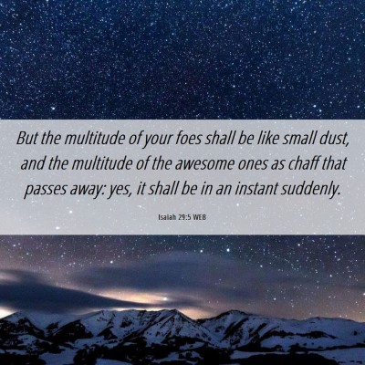 Picture 06 - Isaiah 29:5 WEB - But the multitude of your foes shall be like - Bible Verse Picture