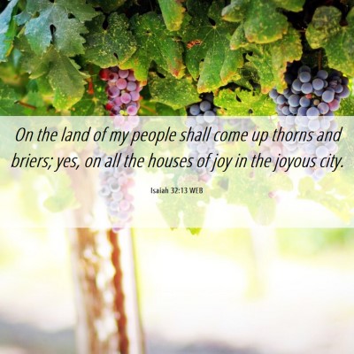 Picture 06 - Isaiah 32:13 WEB - On the land of my people shall come up thorns and - Bible Verse Picture