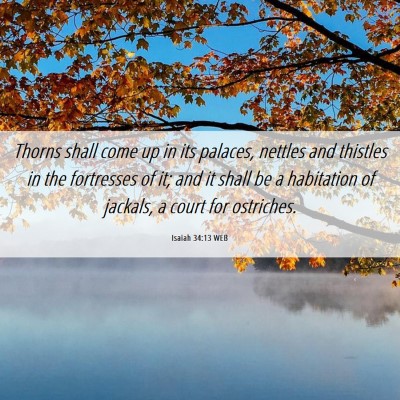 Picture 06 - Isaiah 34:13 WEB - Thorns shall come up in its palaces, nettles and - Bible Verse Picture