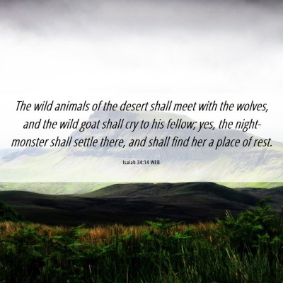 Picture 06 - Isaiah 34:14 WEB - The wild animals of the desert shall meet with - Bible Verse Picture