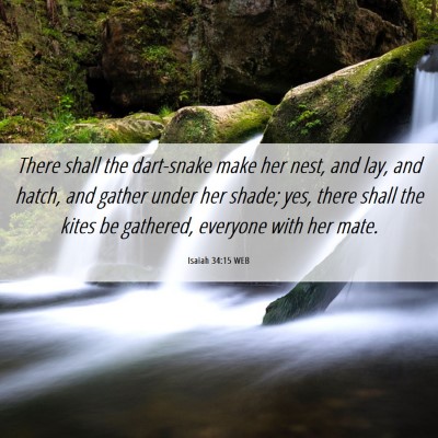 Picture 06 - Isaiah 34:15 WEB - There shall the dart-snake make her nest, and - Bible Verse Picture