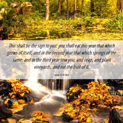 Picture 06 - Isaiah 37:30 WEB - This shall be the sign to you: you shall eat this - Bible Verse Picture