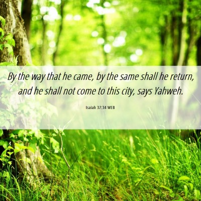 Picture 06 - Isaiah 37:34 WEB - By the way that he came, by the same shall he - Bible Verse Picture