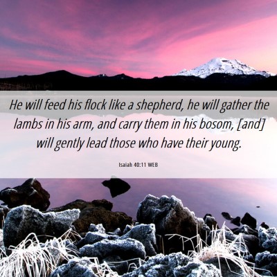 Picture 06 - Isaiah 40:11 WEB - He will feed his flock like a shepherd, he will - Bible Verse Picture