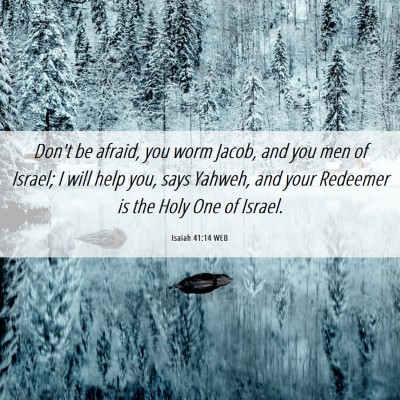 Picture 06 - Isaiah 41:14 WEB - Don't be afraid, you worm Jacob, and you men of - Bible Verse Picture