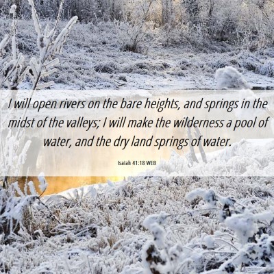 Picture 06 - Isaiah 41:18 WEB - I will open rivers on the bare heights, and - Bible Verse Picture