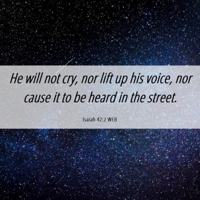 Picture 06 - Isaiah 42:2 WEB - He will not cry, nor lift up his voice, nor cause - Bible Verse Picture