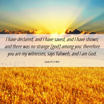 Picture 06 - Isaiah 43:12 WEB - I have declared, and I have saved, and I have - Bible Verse Picture
