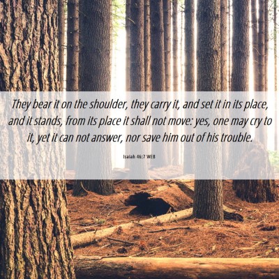 Picture 06 - Isaiah 46:7 WEB - They bear it on the shoulder, they carry it, and - Bible Verse Picture