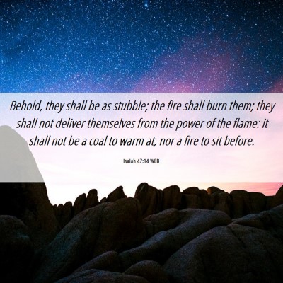 Picture 06 - Isaiah 47:14 WEB - Behold, they shall be as stubble; the fire shall - Bible Verse Picture